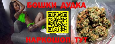 молекула духа Гатчина