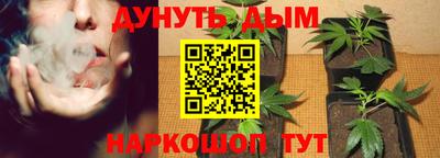 молекула духа Гатчина