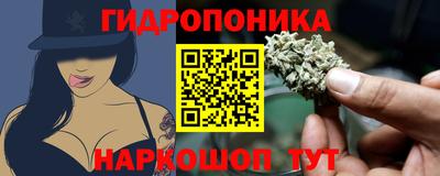 молекула духа Гатчина