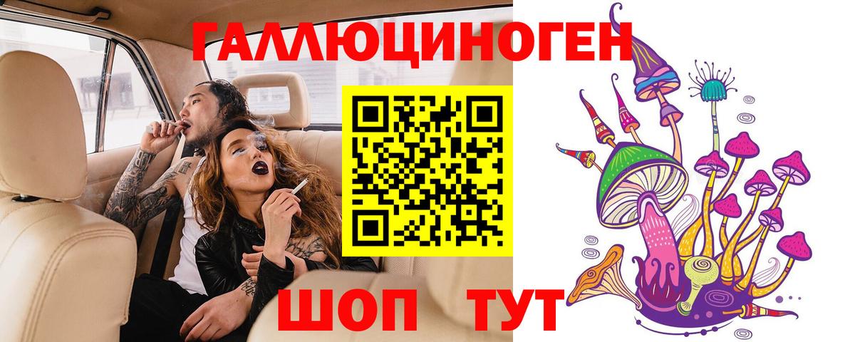 Новокубанск  Галлюциногенные грибы GOLDEN TEACHER  Вход с VPN 